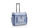 Preview: BERNINA 495 Liberty Edition